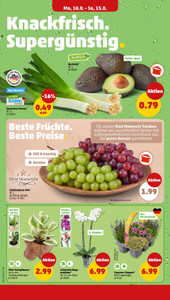 PENNY Prospekt - Angebote ab 10.08. - Seite 2