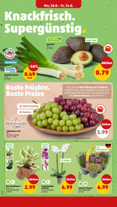 PENNY Prospekt - Angebote ab 10.08. - Seite 2