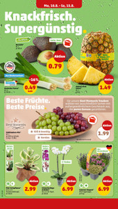 PENNY Prospekt - Angebote ab 10.08. - Seite 2