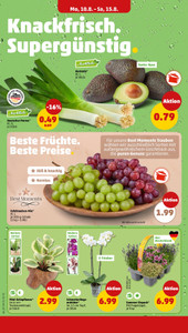 PENNY Prospekt - Angebote ab 10.08. - Seite 2