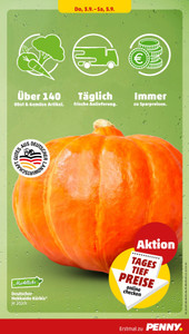PENNY Prospekt - Angebote ab 31.08.