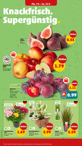PENNY Prospekt - Angebote ab 07.09. - Seite 2