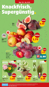 PENNY Prospekt - Angebote ab 07.09. - Seite 2