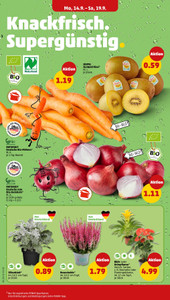 PENNY Prospekt - Angebote ab 14.09. - Seite 2