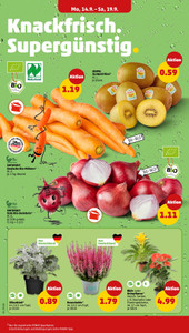 PENNY Prospekt - Angebote ab 14.09. - Seite 2