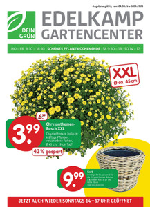 Edelkamp Gartencenter Prospekt - Angebote ab 29.08.