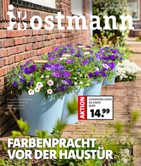 Blumen Ostmann Prospekt - Angebote ab 11.04.