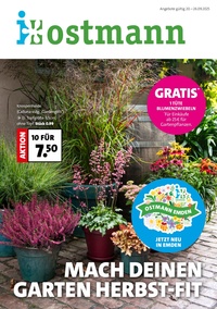 Blumen Ostmann Prospekt - Angebote ab 22.09.