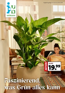 Blumen Ostmann Prospekt - Angebote ab 03.01.