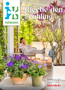 Blumen Ostmann Prospekt - Angebote ab 27.03.
