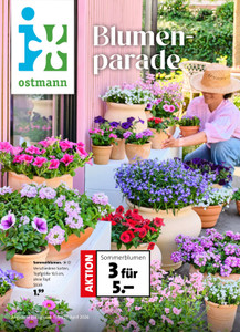 Blumen Ostmann Prospekt - Angebote ab 10.04.