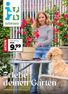 Blumen Ostmann Prospekt - Angebote ab 16.05.