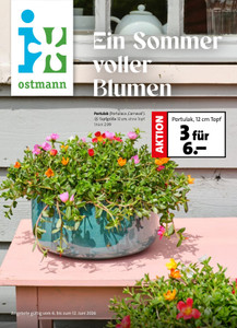 Blumen Ostmann Prospekt - Ein Sommer voller Blumen