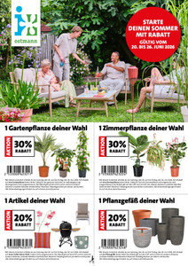 Blumen Ostmann Prospekt - Starte deinen Sommer mit Rabatt