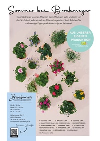 Brockmeyer Prospekt - Sommer bei Brockmeyer