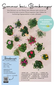 Brockmeyer Prospekt - Blumen Brockmeyer