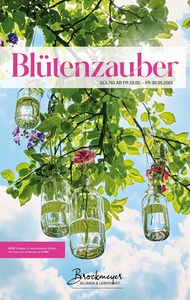Brockmeyer Prospekt - Blumen Brockmeyer