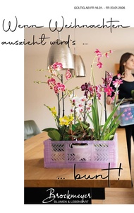 Brockmeyer Prospekt - Blumen Brockmeyer
