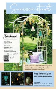 Brockmeyer Prospekt - Blumen Brockmeyer