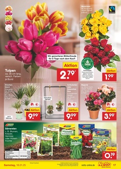 Netto Marken-Discount Prospekt - Angebote ab 13.01.