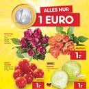 Netto Marken-Discount Prospekt - Obst & Gemüse