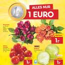 Netto Marken-Discount Prospekt - Obst & Gemüse