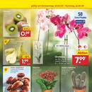 Netto Marken-Discount Prospekt Seite 45