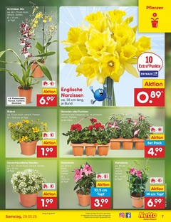 Netto Marken-Discount Prospekt - Angebote ab 24.03.