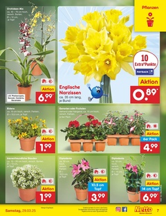 Netto Marken-Discount Prospekt - Angebote ab 24.03.