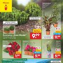 Netto Marken-Discount Prospekt Seite 8