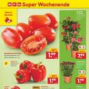 Netto Marken-Discount Prospekt Seite 50