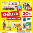 Netto Marken-Discount Prospekt Seite 2
