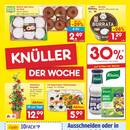 Netto Marken-Discount Prospekt Seite 2