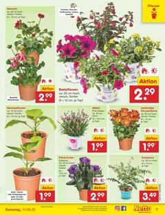 Netto Marken-Discount Prospekt - Angebote ab 10.06.