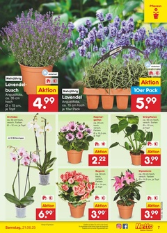 Netto Marken-Discount Prospekt - Angebote ab 16.06.