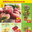Netto Marken-Discount Prospekt Seite 48