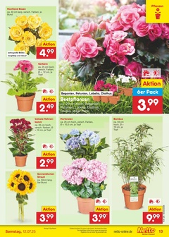Netto Marken-Discount Prospekt - Angebote ab 07.07.
