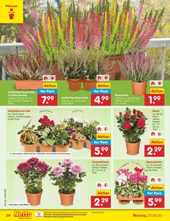 Netto Marken-Discount Prospekt - Angebote ab 01.09.