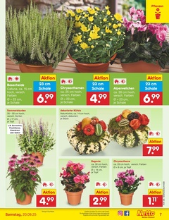 Netto Marken-Discount Prospekt - Angebote ab 15.09.