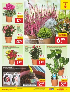 Netto Marken-Discount Prospekt - Angebote ab 20.10.