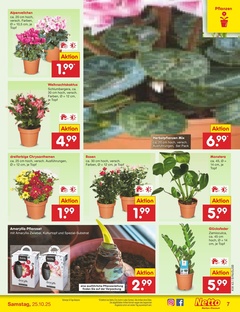 Netto Marken-Discount Prospekt - Angebote ab 20.10.