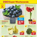 Netto Marken-Discount Prospekt Seite 42