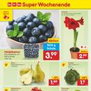 Netto Marken-Discount Prospekt Seite 42