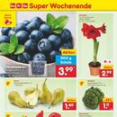 Netto Marken-Discount Prospekt Seite 42