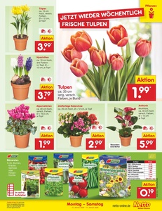 Netto Marken-Discount Prospekt - Angebote ab 12.01.