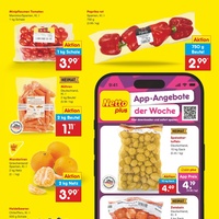 Netto Marken-Discount Prospekt Seite 15