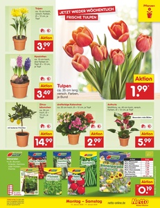 Netto Marken-Discount Prospekt - Angebote ab 12.01.