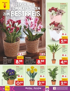 Netto Marken-Discount Prospekt - Angebote ab 26.01.
