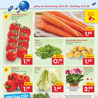 Netto Marken-Discount Prospekt Seite 37