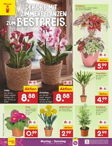 Netto Marken-Discount Prospekt - Angebote ab 26.01.